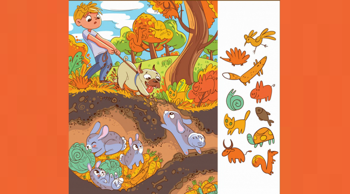 Teste: qual animal você viu primeiro nesta foto; você é mais atento do que a maioria?