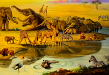 Você consegue encontrar o animal escondido nesta imagem? Poucas pessoas conseguiram encontrá-lo entre os vários animais!