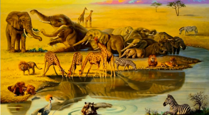 Você consegue encontrar o animal escondido nesta imagem? Poucas pessoas conseguiram encontrá-lo entre os vários animais!