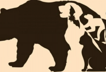 Conheça aspectos ocultos da sua personalidade: Diga qual animal viu primeiro!