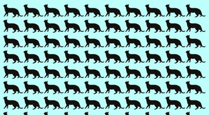 Consegue encontrar o emoji diferente na imagem em até 10 segundos? Então seu intelecto é superior