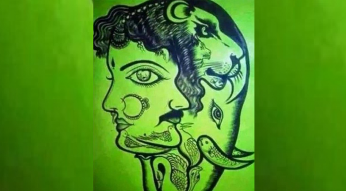 Teste visual complexo: quantos animais você vê no desenho, a solução que você não espera