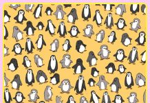 Descubra o quão observador você é, detectando as figuras escondidas nas 8 imagens. Encontre a raposa na imagem 1