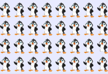 Abra os olhos, limpe a mente e encontre o pinguim “ímpar” no desafio viral