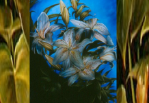 Este teste simples pode dizer mais sobre sua atitude em relação ao amor. O que viu primeiro?