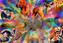 Teste. Conte-nos o que você viu primeiro na foto, e nós contaremos tudo sobre seu personagem