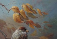 Quantos pássaros você vê nesta foto? Descubra quem você é com base na sua resposta