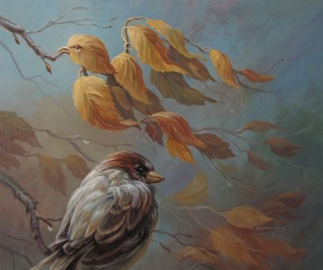 Quantos pássaros você vê nesta foto? Descubra quem você é com base na sua resposta