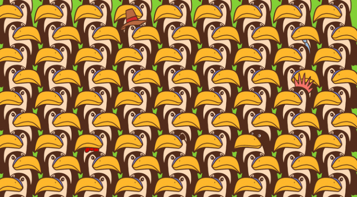 Agora temos um pinguim que pensa que é um pelicano, você consegue encontrá-lo?