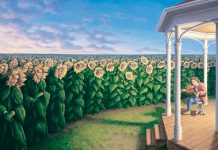 Preste atenção na imagem:O elemento que enxergou primeiro diz a verdade sobre você!