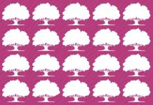 Você pode encontrar a figura diferente? Tente resolver este desafio visual em 10 segundos