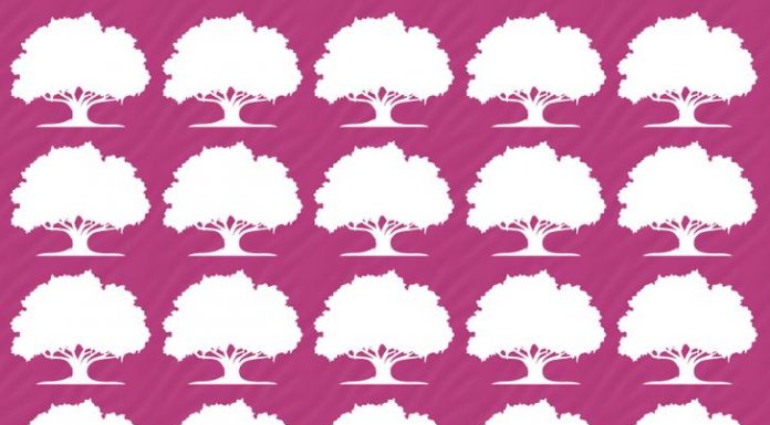 Você pode encontrar a figura diferente? Tente resolver este desafio visual em 10 segundos