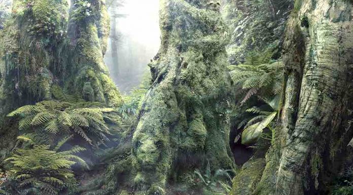 Teste visual: quantos animais você vê na imagem? Só quem tem QI alto consegue resolver sem dificuldade