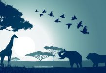 Teste: descubra o que está impedindo você de seguir em frente: o que vê primeiro na imagem?