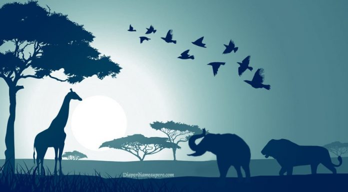 Teste: descubra o que está impedindo você de seguir em frente: o que vê primeiro na imagem?