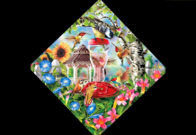 Quantos beija-flores estão escondidos na imagem? Conheça sua personalidade a partir da quantidade que vê.