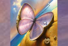 Escolha um elemento e ele lhe dirá o que você precisa em sua vida