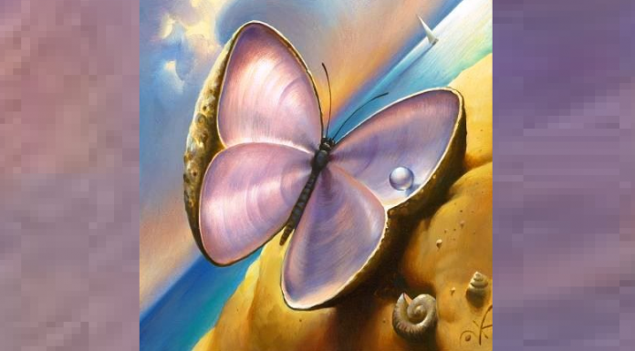 Escolha um elemento e ele lhe dirá o que você precisa em sua vida