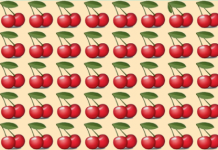 Teste de foco e atenção: encontre o ímpar nessa foto!