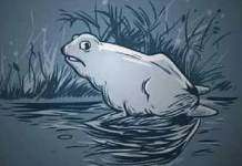 O que você vê primeiro, um sapo ou um cavalo? Sua resposta revela o que é mais importante em sua vida