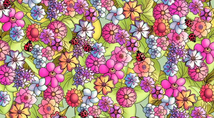 Prove que tem uma inteligência e percepção avançadas: encontre a borboleta entre as flores!