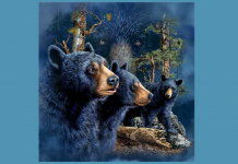 Aqui está um teste que pode determinar uma grande parte da sua personalidade: Quantos ursos você vê?