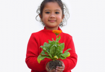 Por que é importante ensinar seu filho a dizer “por favor” e “obrigado”?