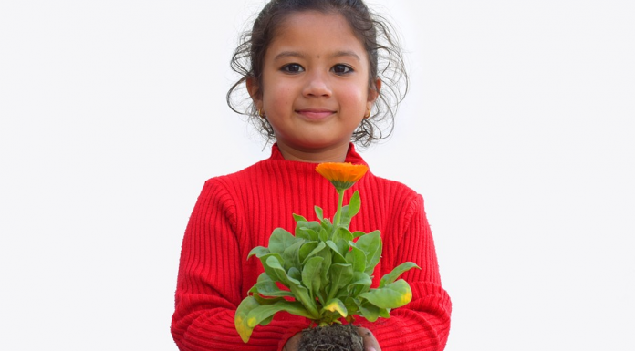 Por que é importante ensinar seu filho a dizer “por favor” e “obrigado”?