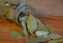 10 benefícios das folhas de louro que ajudam a afastar as doenças