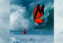 O que você vê primeiro lhe dirá qual é a sua verdade mais profunda