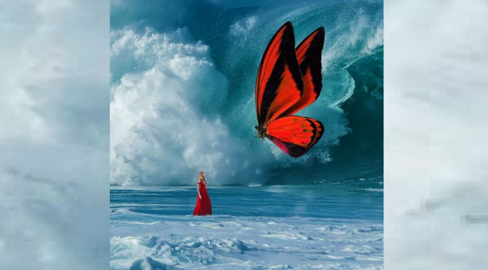 O que você vê primeiro lhe dirá qual é a sua verdade mais profunda