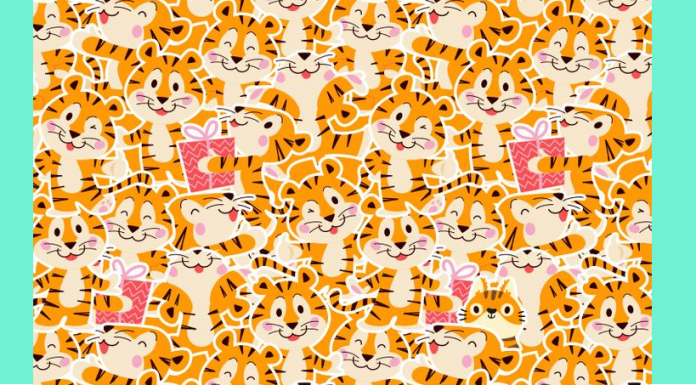 Desafio de atenção plena: Encontre o gato entre os tigres!