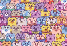 Teste de atenção: você consegue identificar o porco entre os filhotes de cachorros?