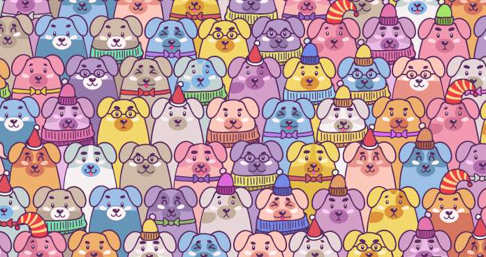 Teste de atenção: você consegue identificar o porco entre os filhotes de cachorros?