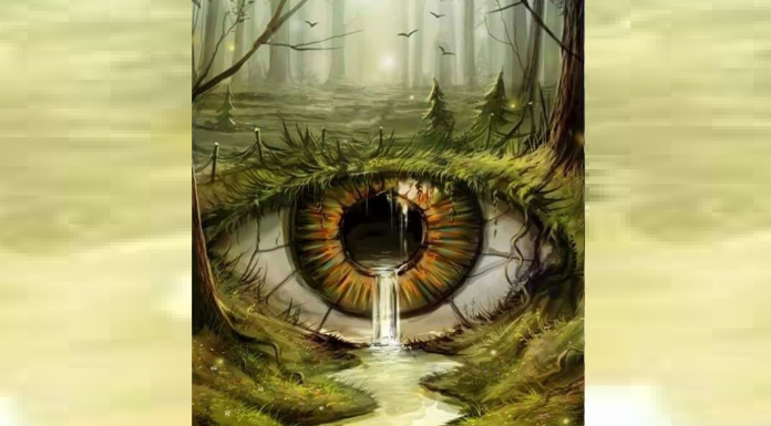 Teste de personalidade: a primeira coisa que você vê é o que mais importa para você no amor