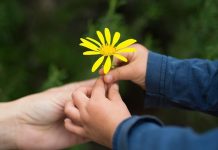 28 pequenas regras de etiqueta para ensinar seus filhos para que eles não cresçam e se tornem idiotas