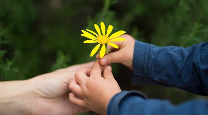 28 pequenas regras de etiqueta para ensinar seus filhos para que eles não cresçam e se tornem idiotas