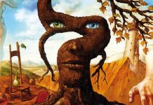 Teste: Qual elemento de imagem que lhe é apresentada atrai mais sua atenção?