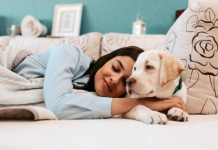 Por essa você não esperava: quais razões os cães são os melhores companheiros de sono das mulheres !