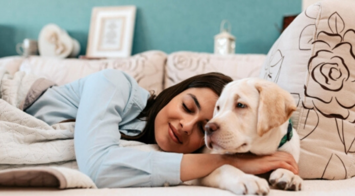 Por essa você não esperava: quais razões os cães são os melhores companheiros de sono das mulheres !
