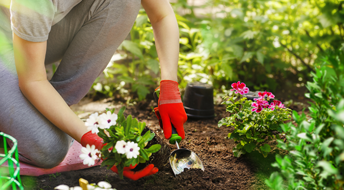 Terapia hortícola: as plantas ajudando no combate à depressão