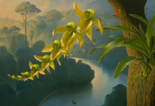 Teste psicológico: Qual foi a primeira coisa que você notou na foto?descubra o que ela quer te dizer!