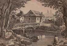 Poucos podem resolver este teste: Encontre mais de 50 animais na foto! Isso mesmo! Mas acima de tudo encontre um gato!