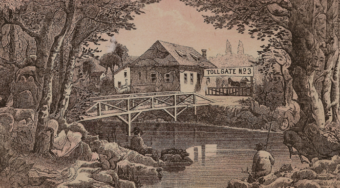 Poucos podem resolver este teste: Encontre mais de 50 animais na foto! Isso mesmo! Mas acima de tudo encontre um gato!