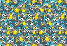 97% não consegue encontrar a formiga entre os vaga-lumes em 10 segundos e você?