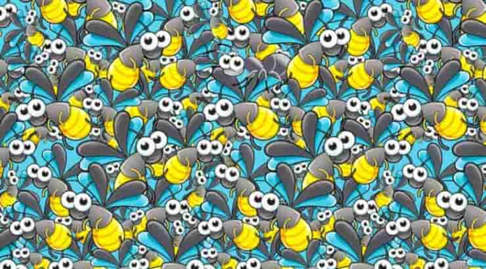 97% não consegue encontrar a formiga entre os vaga-lumes em 10 segundos e você?