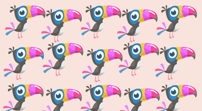 Este quebra-cabeça vai literalmente ferver seu cérebro! Você pode encontrar o tucano diferente dos demais?