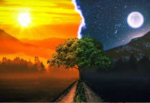 Como as outras pessoas vêem você? Olhe para a imagem e escolha um elemento que lhe atrai e saberá