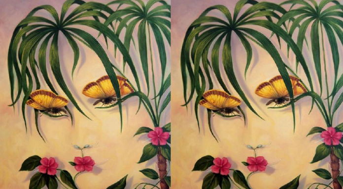 Um teste de personalidade que revela quem sofre de transtorno obsessivo-compulsivo: O que viu primeiro na imagem?