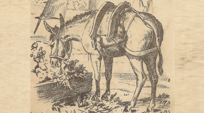 Como está sua capacidade de observação e interpretação? Encontre o homem na imagem!